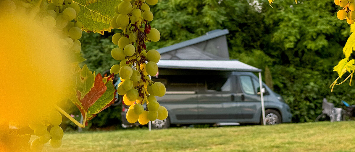 Mit dem VANTourer Campervans von Tom Oehler in Italien: La dolce vita auf vier Rädern