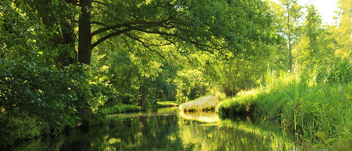 Roadtrip-Ziel: Spreewald