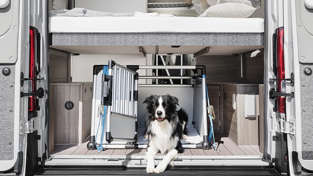 Hundebox unter dem Hubbett im Heck des VANTourer Campervans
