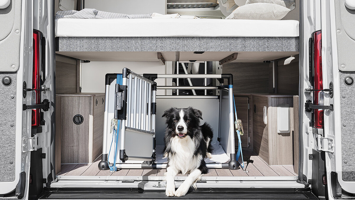 VANTourer Stauraumkonzept: Platz für eine Hundebox