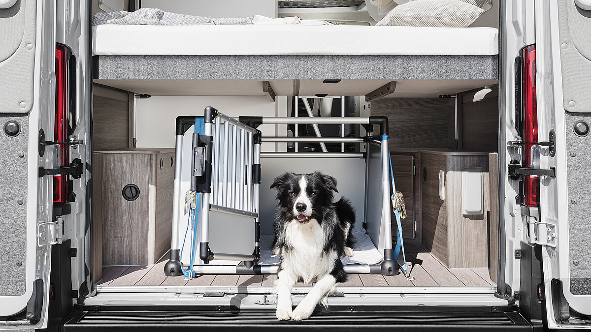 Hundebox unter dem VANTourer Hubbett im Heckstauraum
