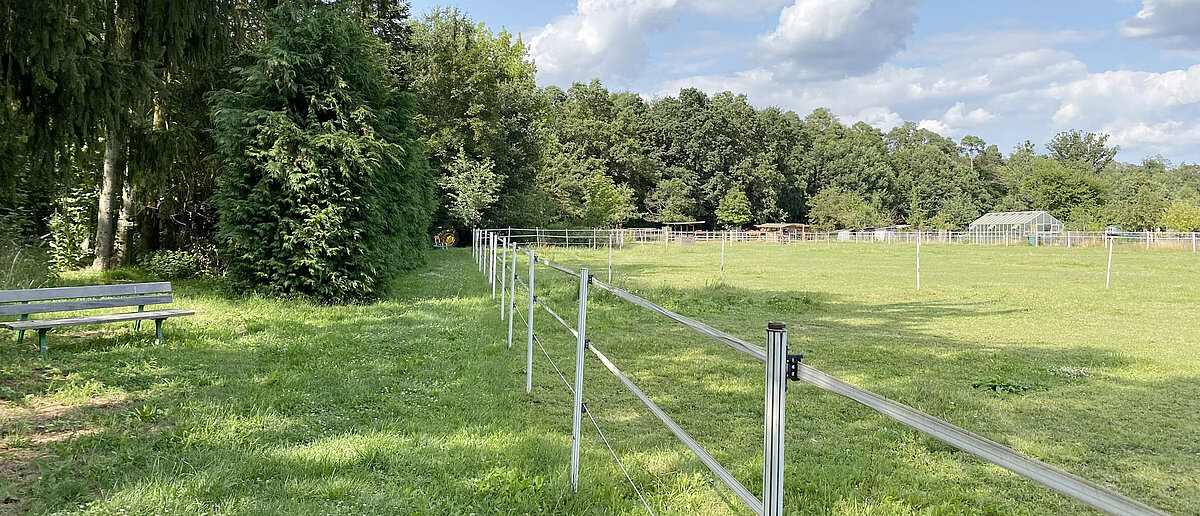 VANSITE Stellplatz "An der Pfredekoppel", Babenhausen im Odenwald, Deutschland 
