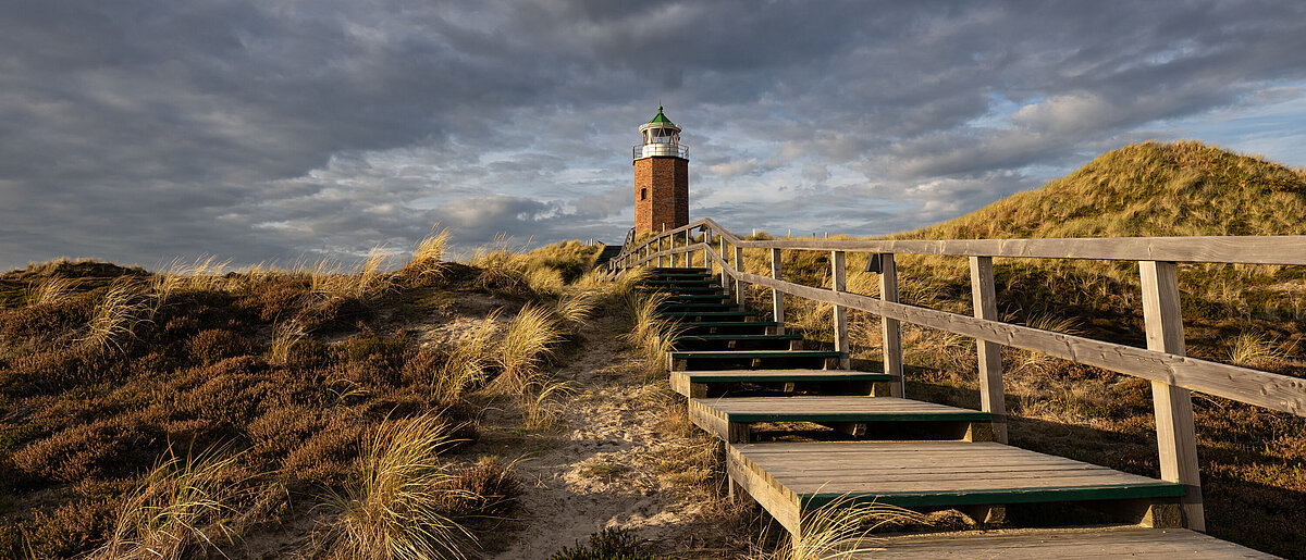 Campervan-Roadtrip zum Meer